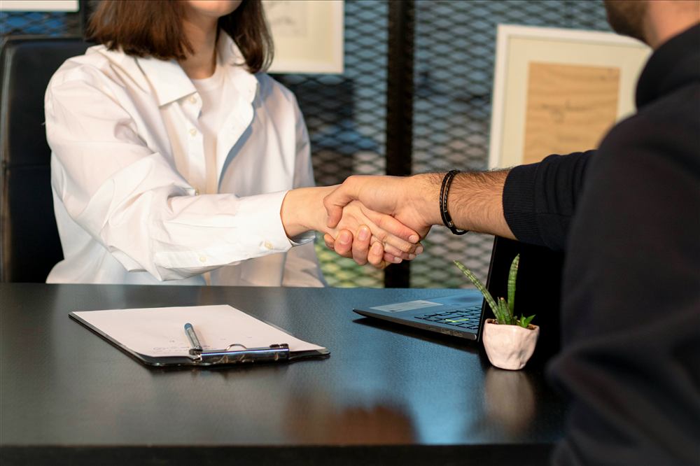 NZ Job Market - job interview handshake